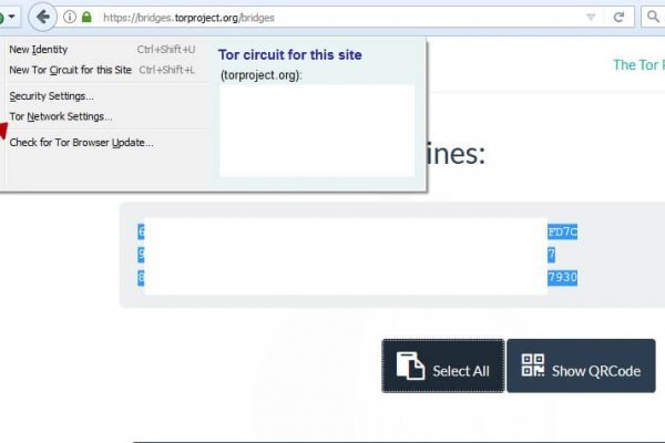 Замена гидры