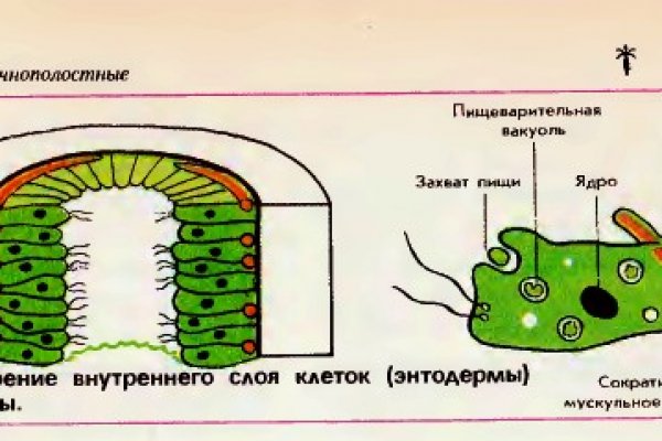 Кракен маркетплейс ссылка krakenat2krnkrnk com