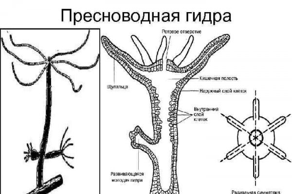 Как пополнить баланс на кракене