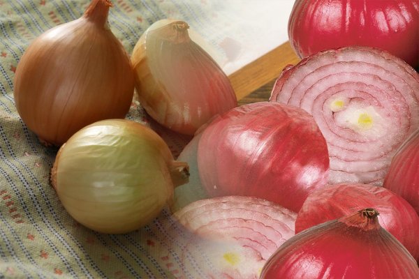 Kraken onion ссылка
